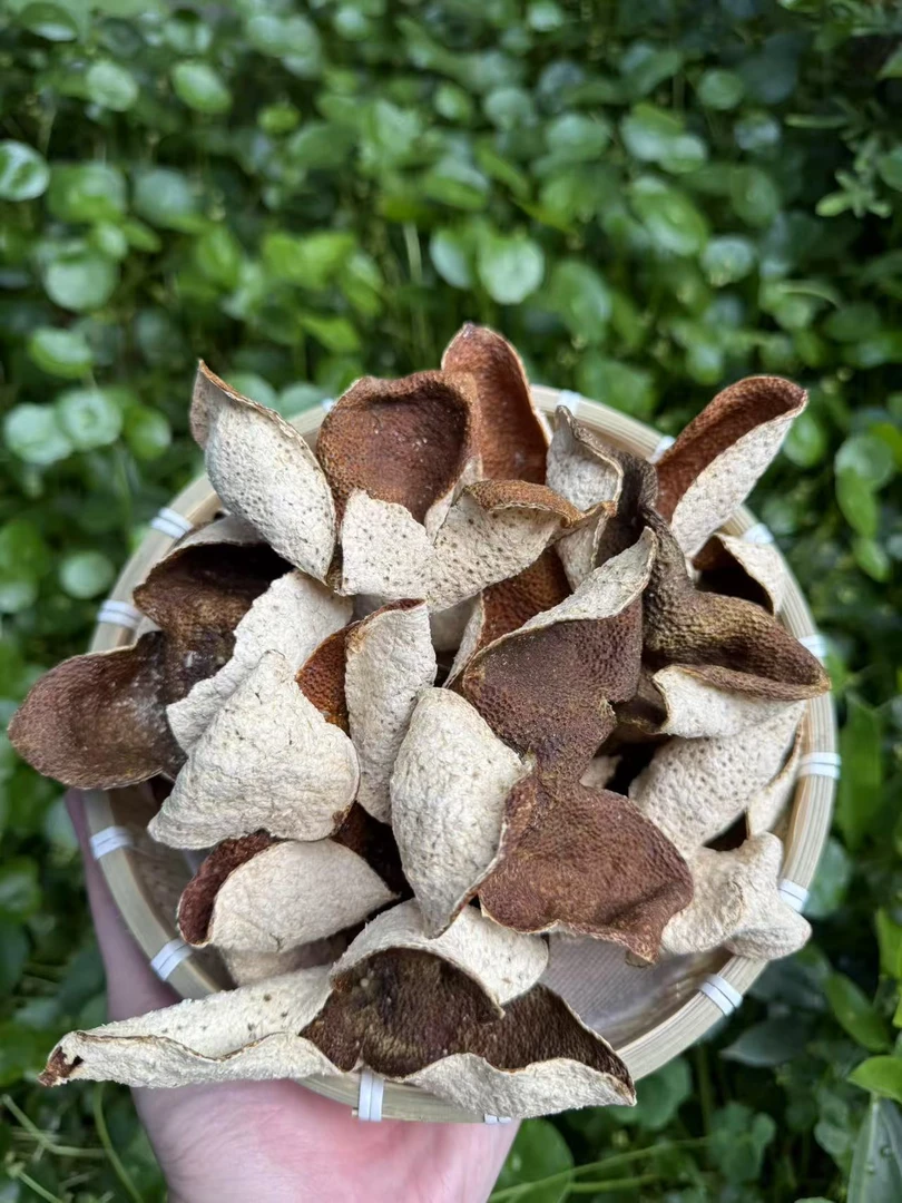 2022年三年茶坑大红皮