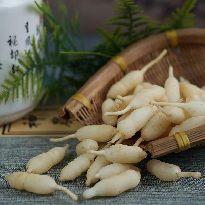 麦冬新鲜麦冬川麦冬绵阳麦冬农家麦冬现挖麦冬生麦冬无硫新货