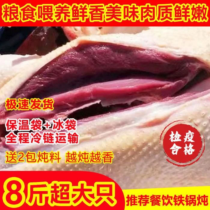 【表哥专属】散养大雁鹅珍宰杀后8-9斤 带腿带翅膀内脏除舌头