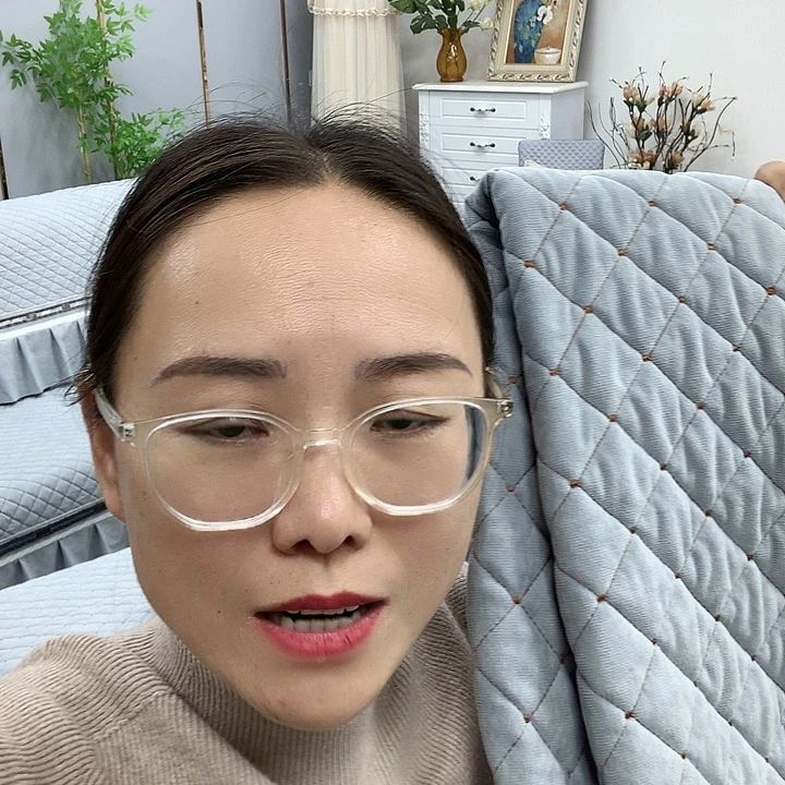 ****哈鹅绒高品质沙发垫