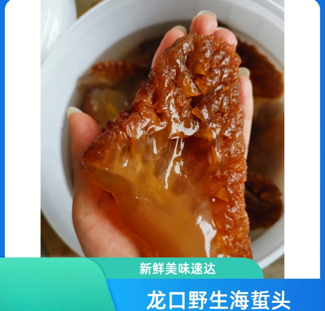 海勃湾自捕海蜇头 整头好吃很脆没有科技狠货