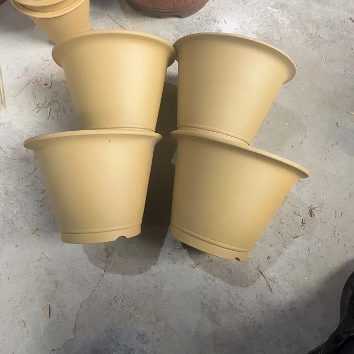 大***流22×16四只专拍