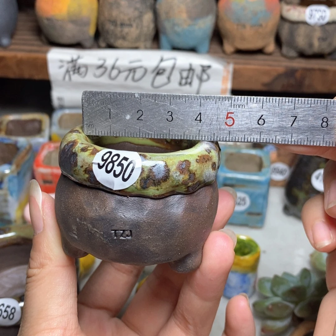 拍3送一个小礼物