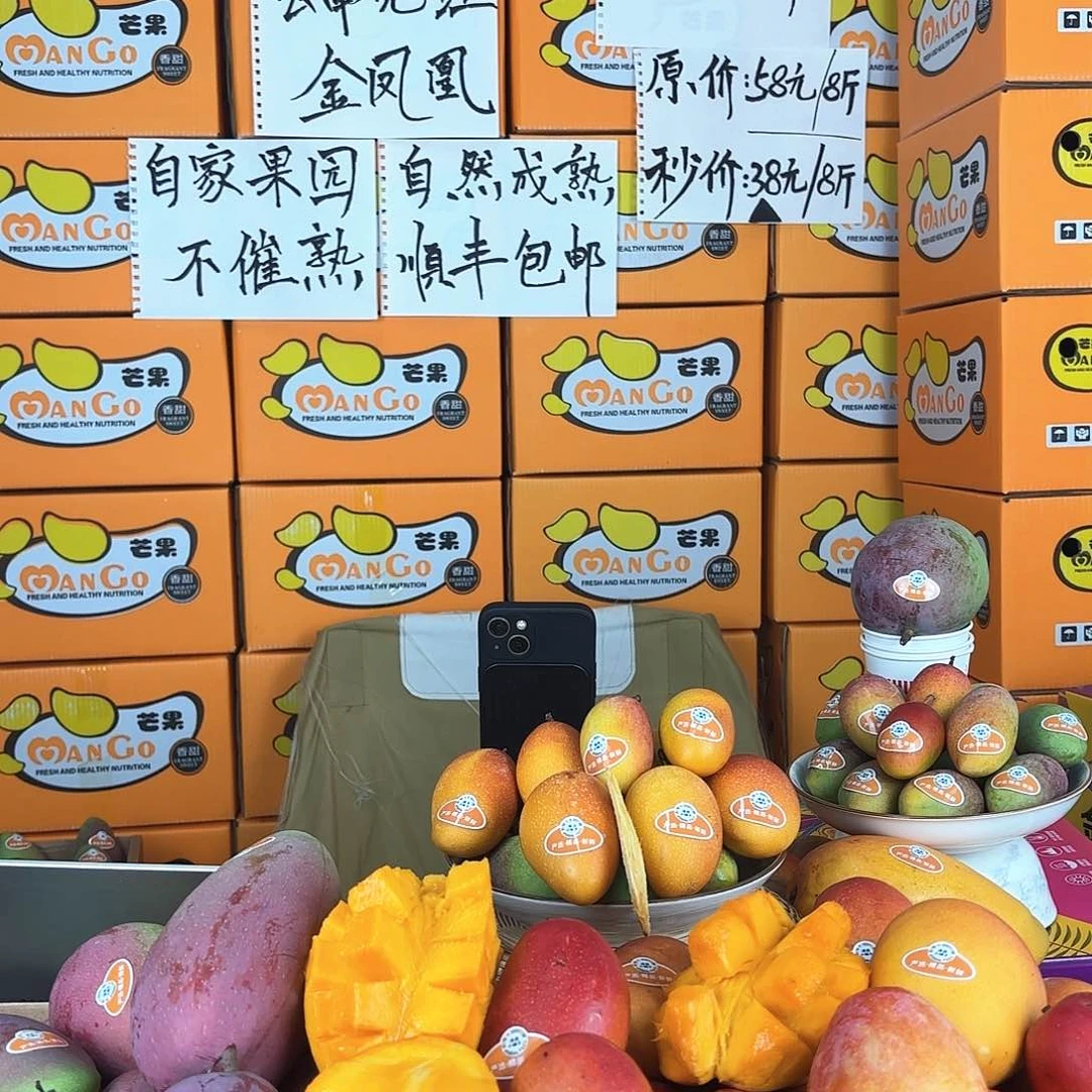 金煌芒云南元江高山深处金凤凰芒果