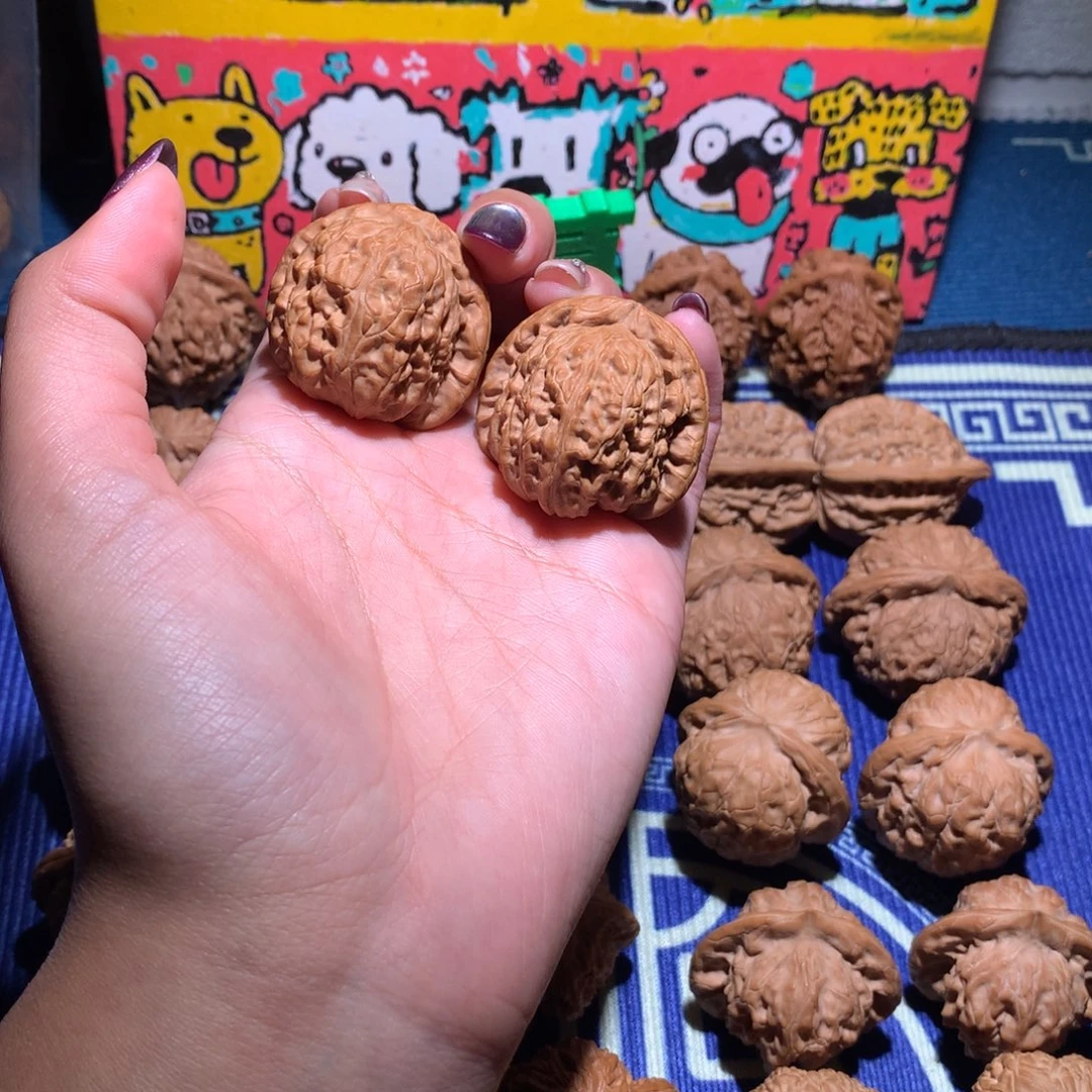 36白狮子202 111111