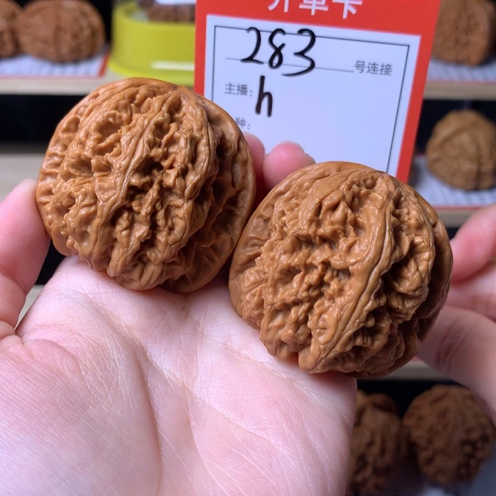 核桃42+粗筋283号