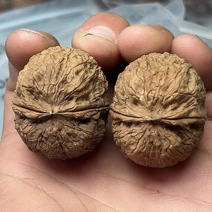 把件文玩核桃48号称坨38尺55克