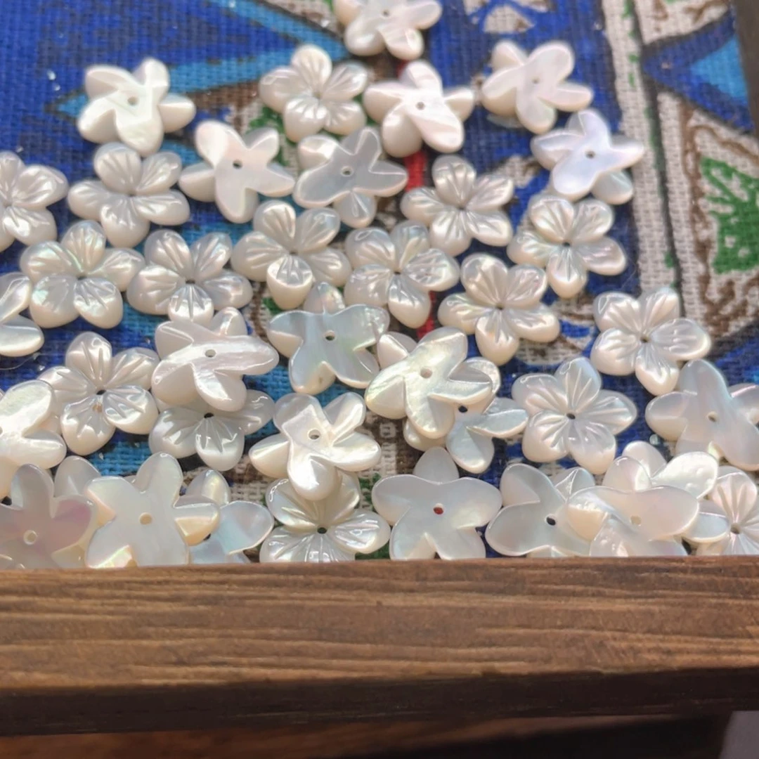 白贝壳花5pcs手工半成品
