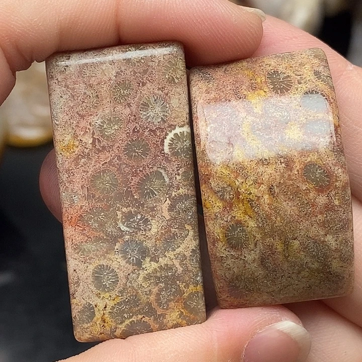 硅化玉未镶嵌颈饰