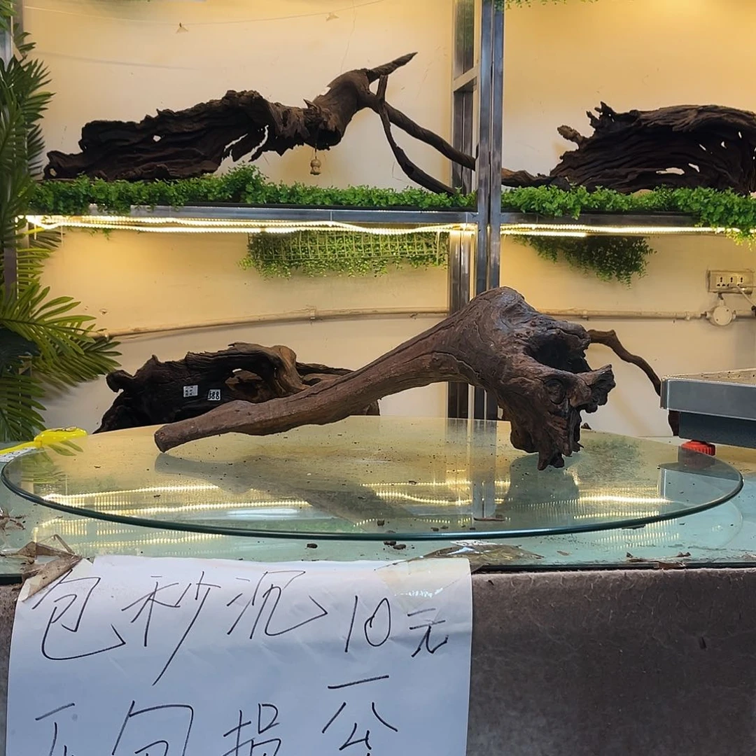 玉***艺柚木沉木鱼缸造景