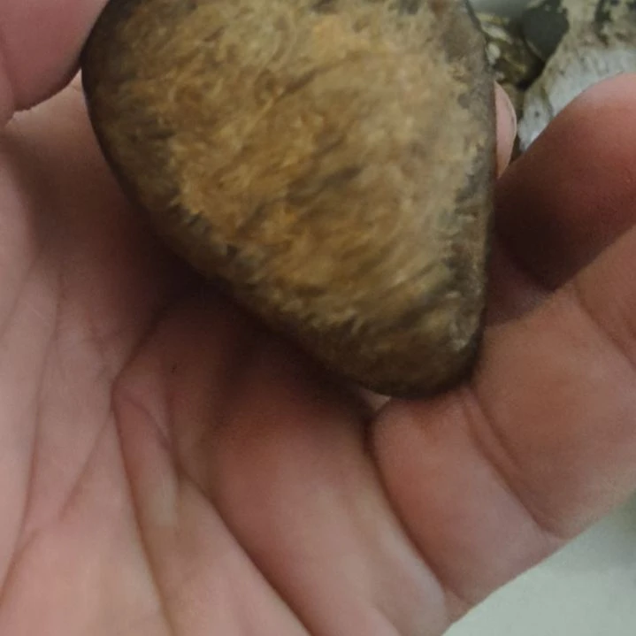 有机玻璃啊啊啊啊啊啊啊啊