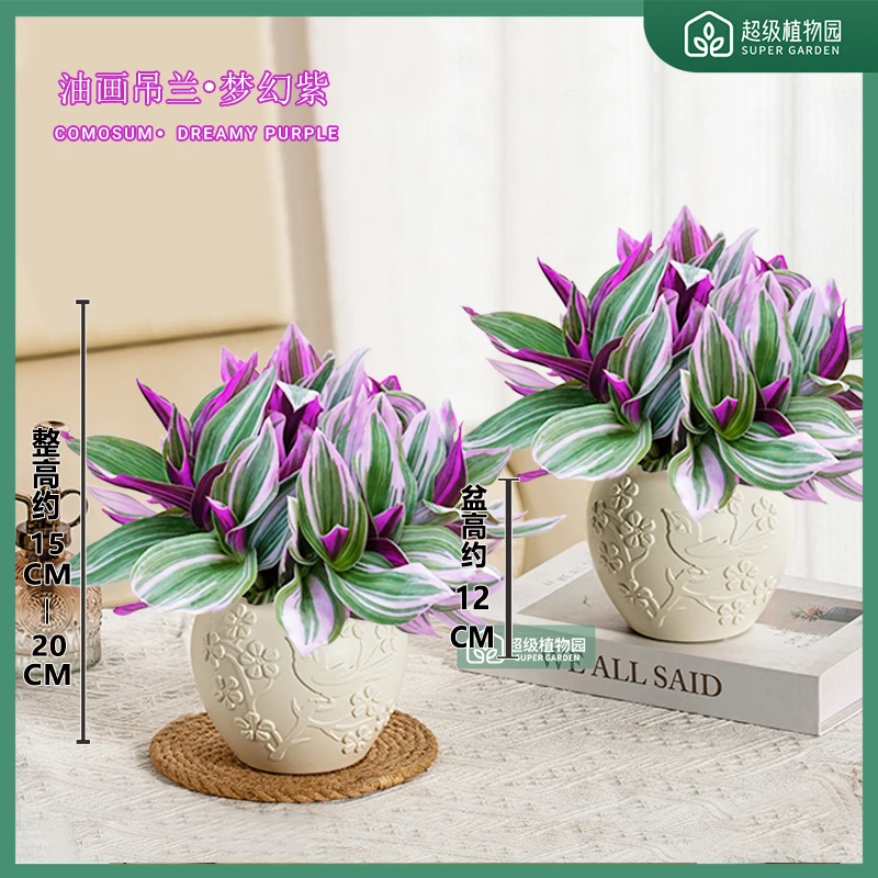 【买一送一】油画吊兰爆款植物室内办公室花卉好养活彩色叶15-20cm