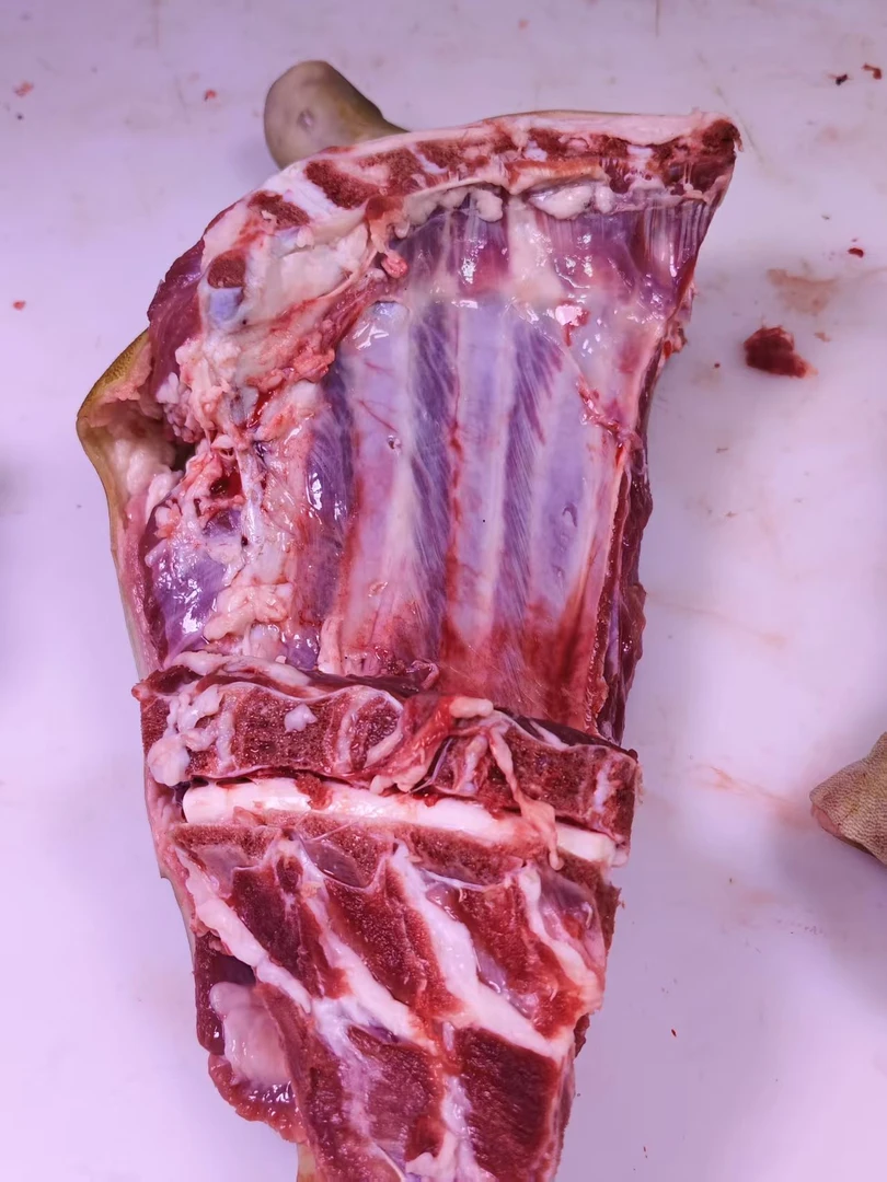 新鲜羊肉腿排现场改价一物一拍