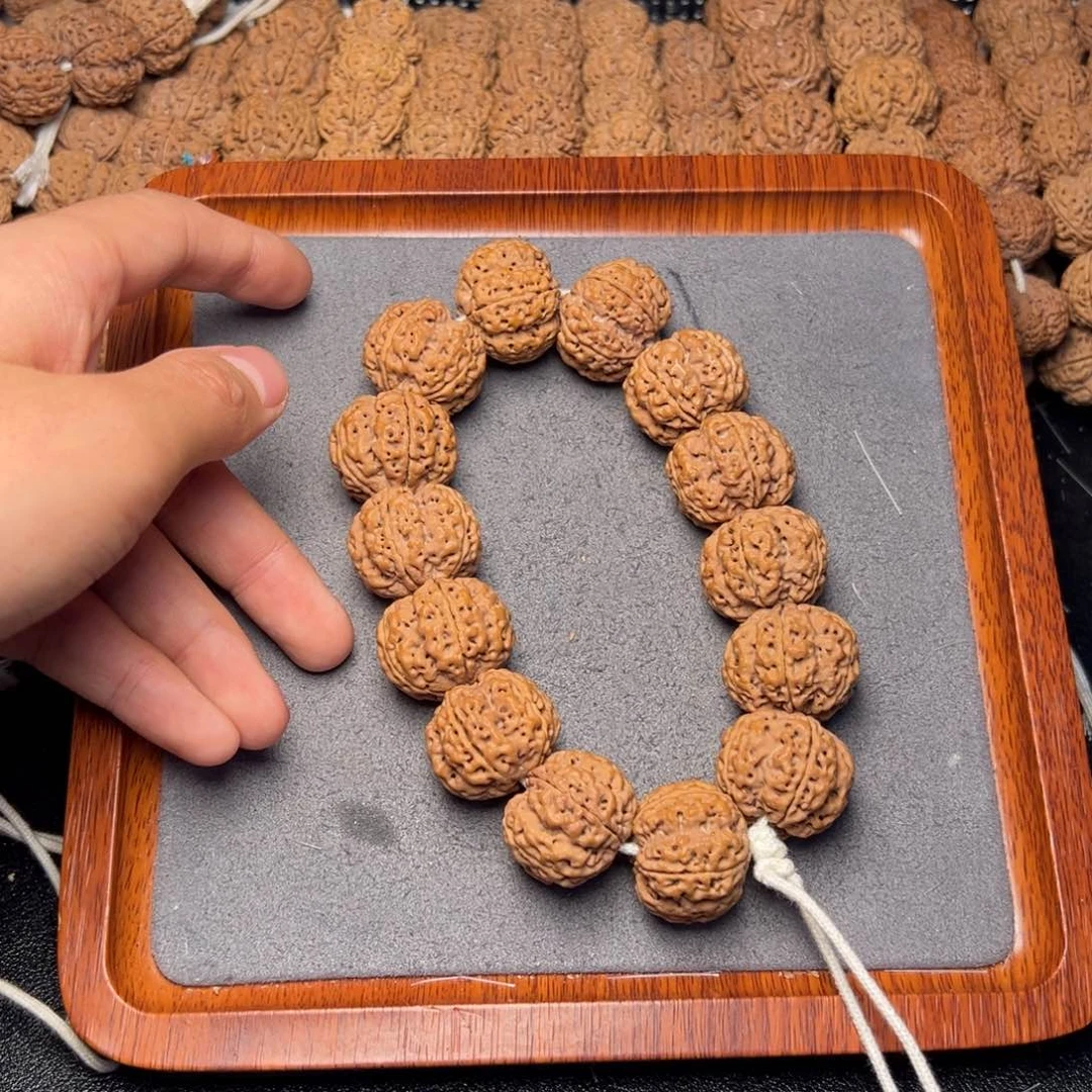 菩提10号尼泊尔大金刚24.5-25梅花蜂窝爆头梁