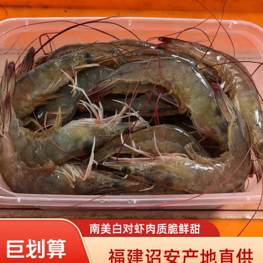 诏安土池养殖鲜活速冻海水虾一斤40-50条南美白对虾顺丰冷链发货