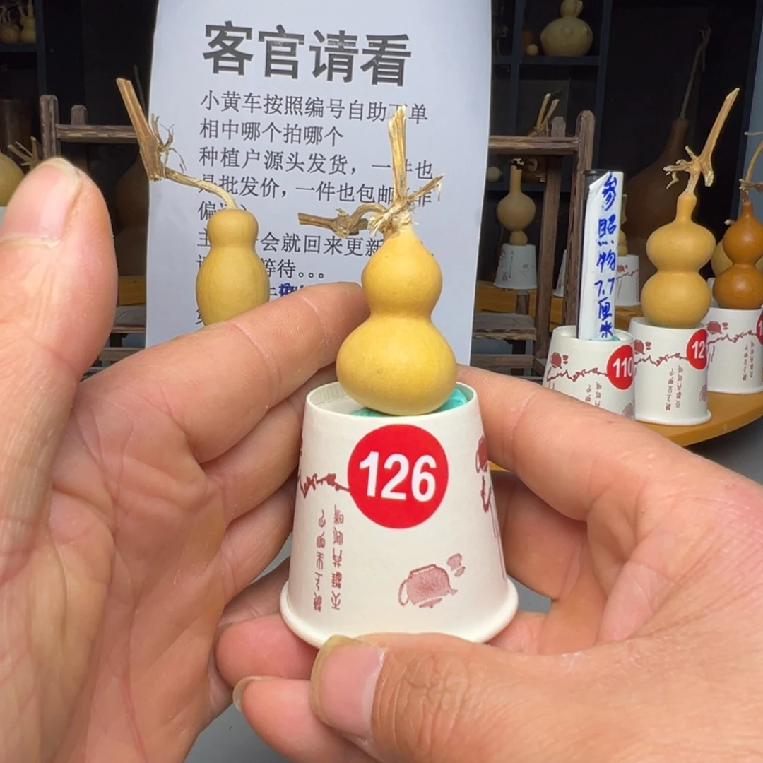 闪电购自助下单编号
