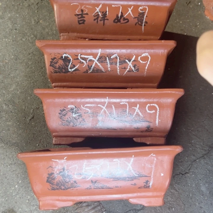 周深周深周深周深