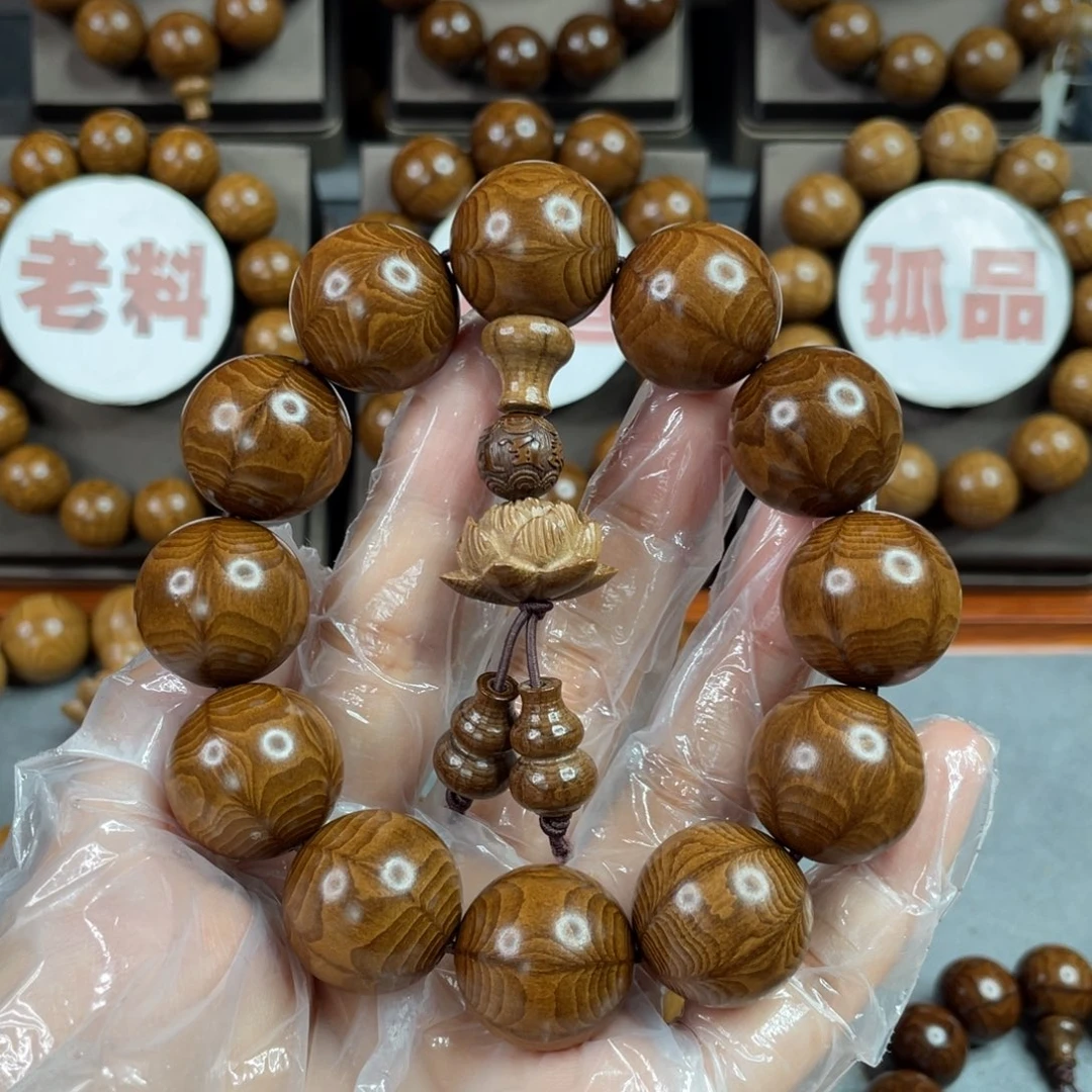 六道木陈化老料， 精品2.0