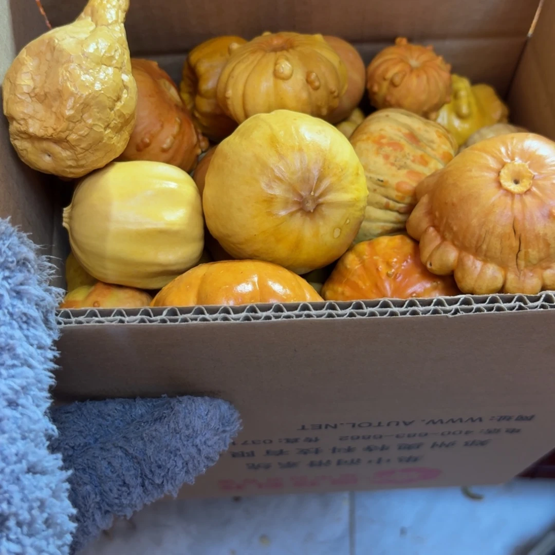 微瑕葫芦不退不换葫芦180