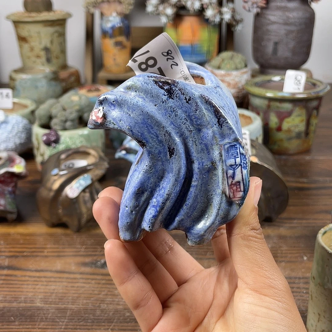 坛子姐花盆 老杨孤品 内口4.5