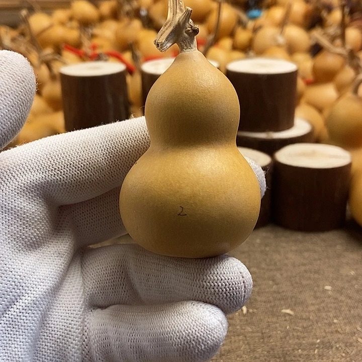 文玩葫芦 完美主义者 慎拍2