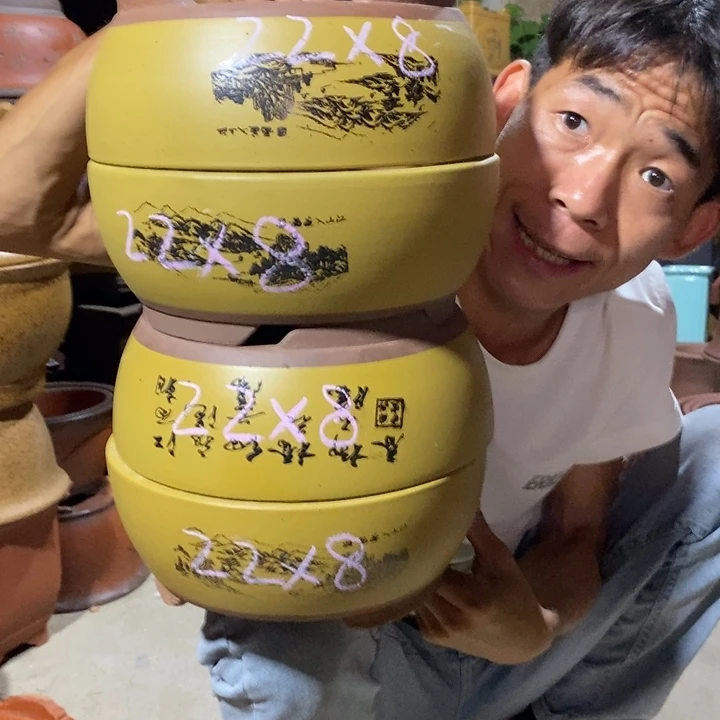 紫砂紫砂紫砂紫砂