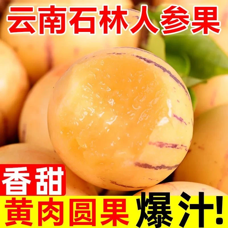 云南石林树上熟人参果果黄肉圆果清甜多汁水润爆汁水果