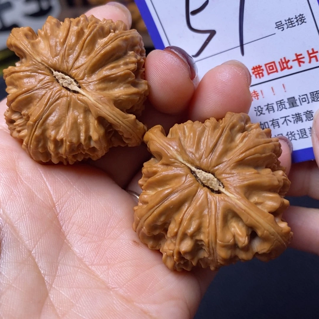 文玩核桃把件44白狮子57