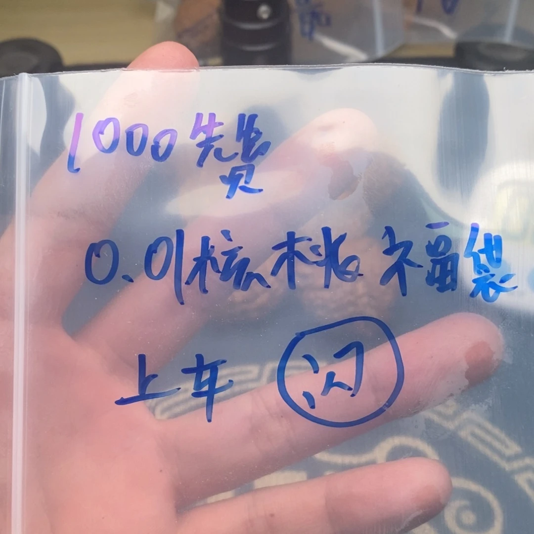 H**韓随机66668996666669999