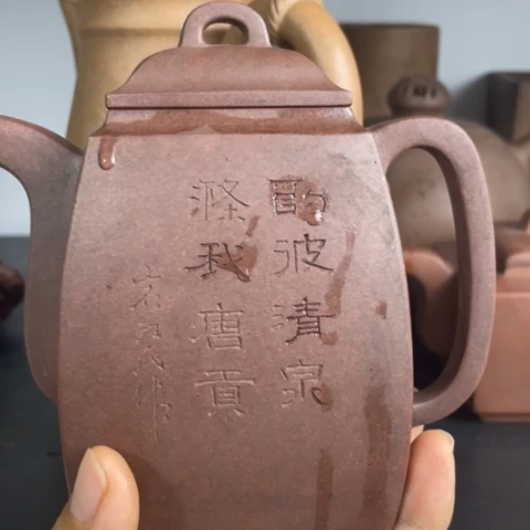 茶壶紫砂海**鸟这种天气适合出去