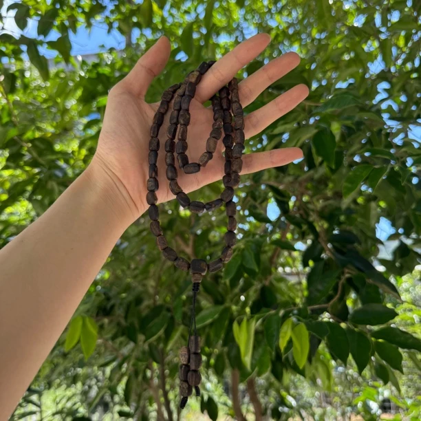 沉香一香传五代母树留疤沉水35克棋楠多圈沉香多样性发一条