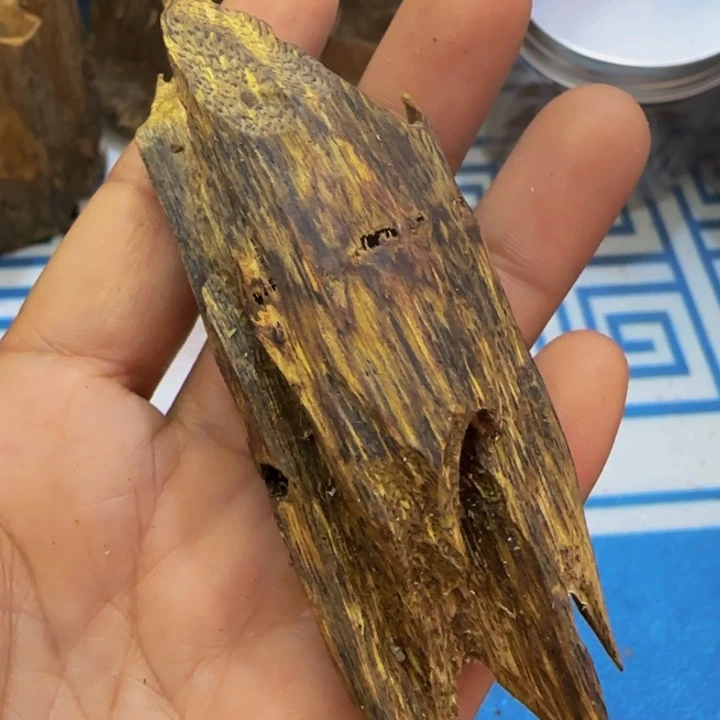 木绿奇陆河千里香虫漏18克