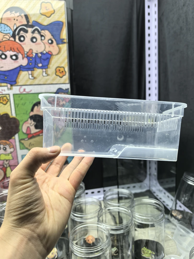 青禾角蛙水陆盒子