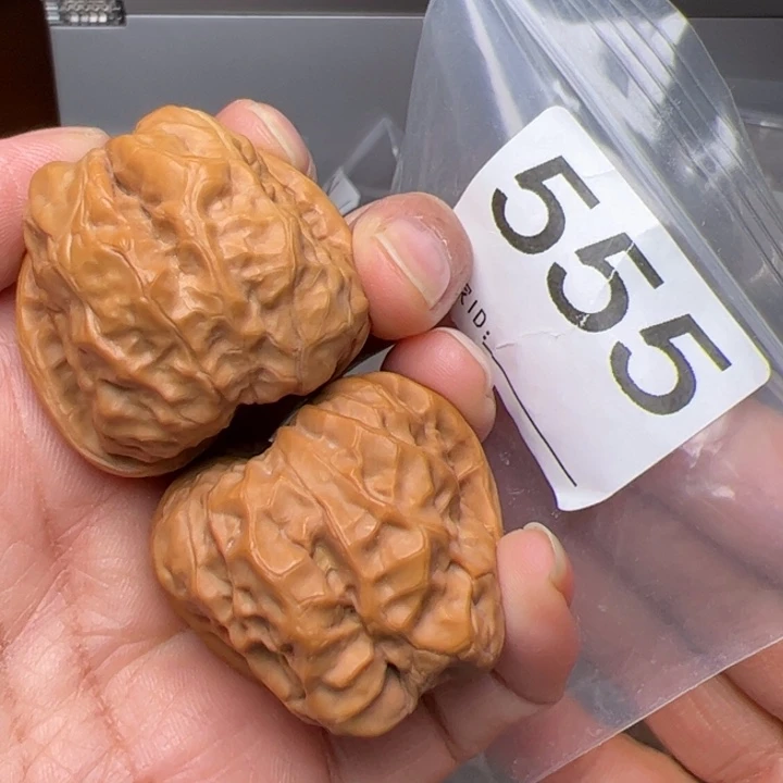 核桃边38肚42尺555