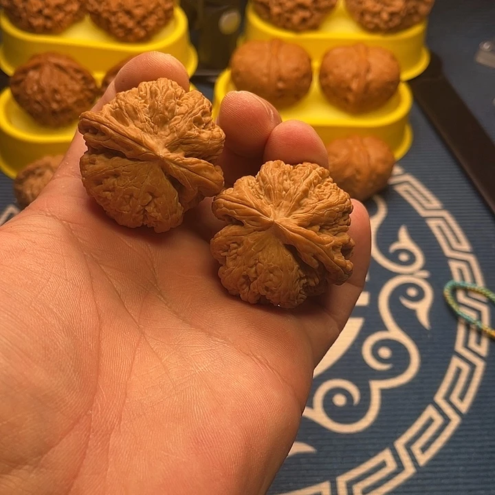 核桃文玩核桃 粗筋