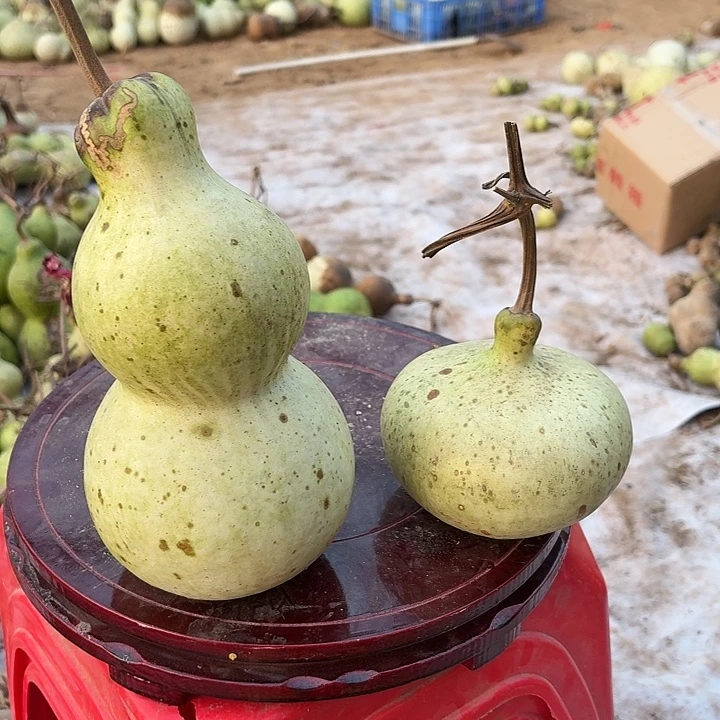 木家居葫芦精品摆件