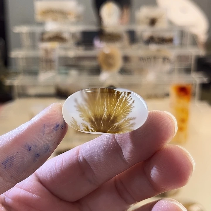未镶嵌吊坠(不含链)玛瑙/玉髓