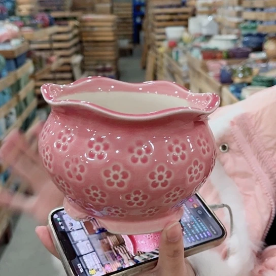 红陶直播间已有一年里