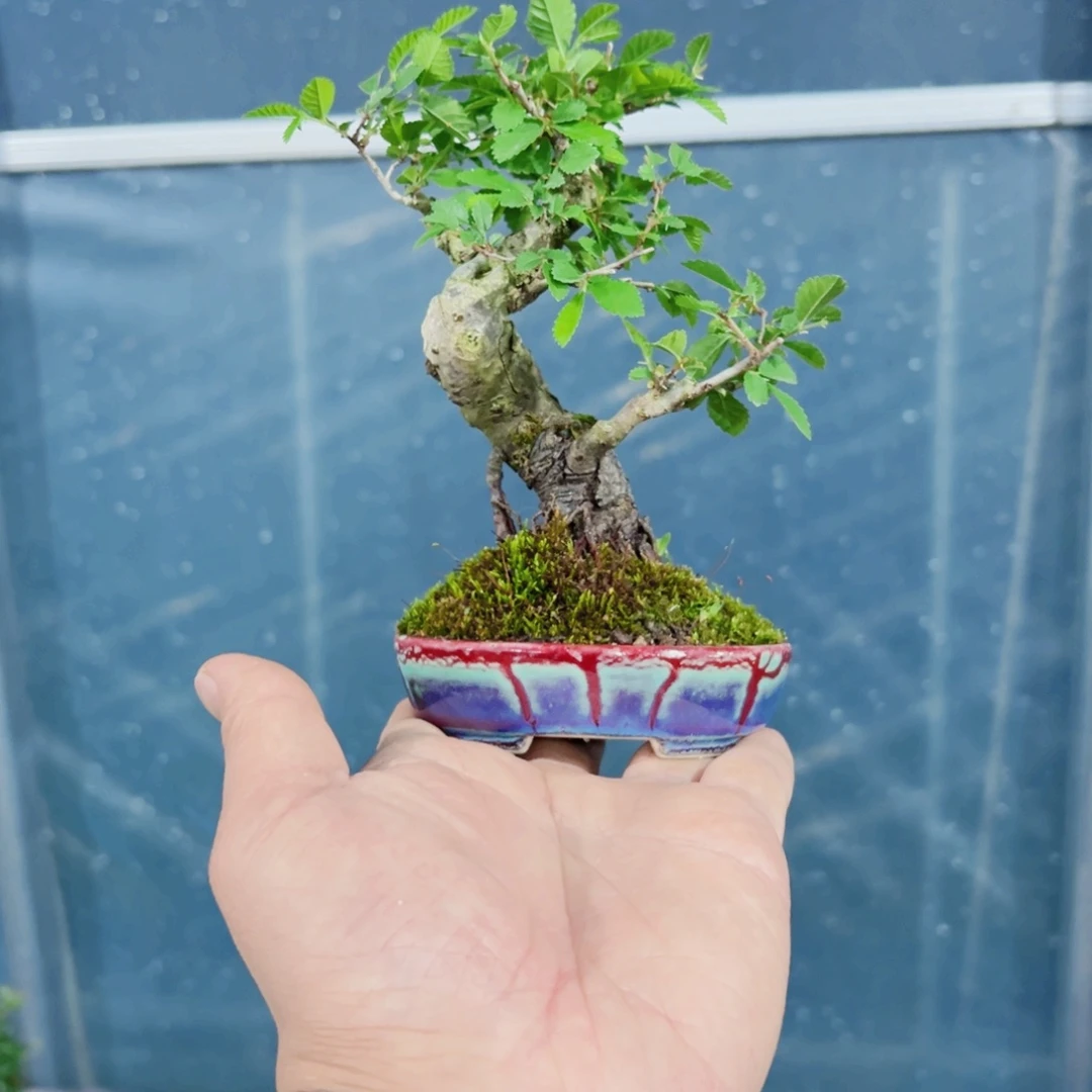 ?*?111111111111111111