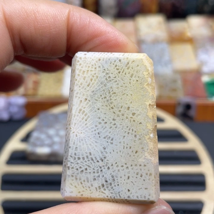 硅化玉未镶嵌颈饰K57