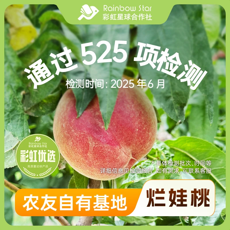 彩虹星球优选｜烂娃桃4.2斤新鲜当季现摘露天水蜜桃毛桃时令水果