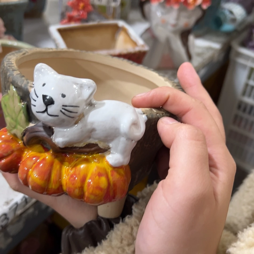 花盆，拍满20发货，退款拉黑