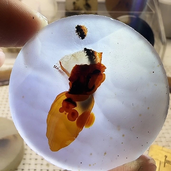 储***）玛瑙/玉髓未镶嵌珠宝奇石