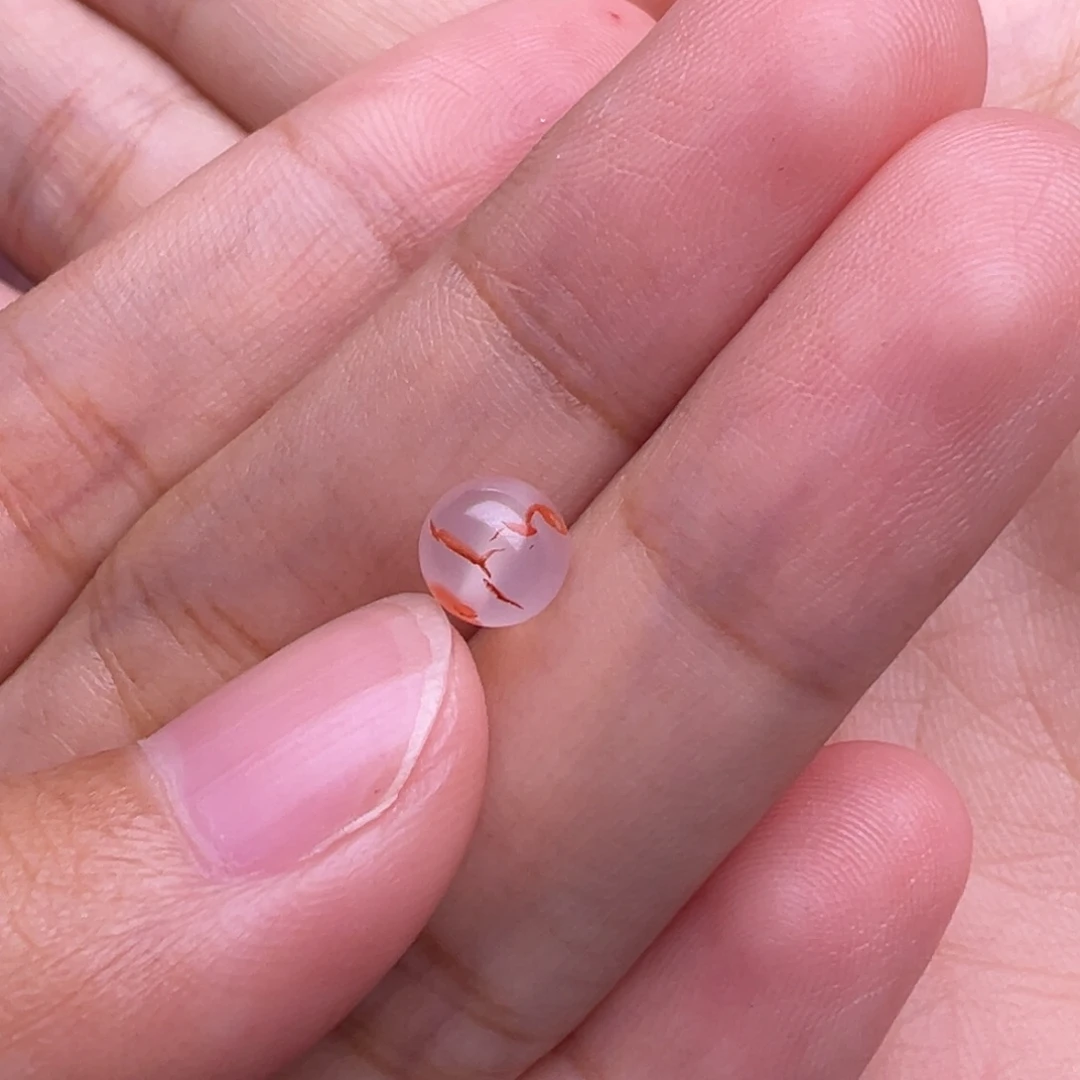 羽***枫南红玛瑙未镶嵌珠宝奇石