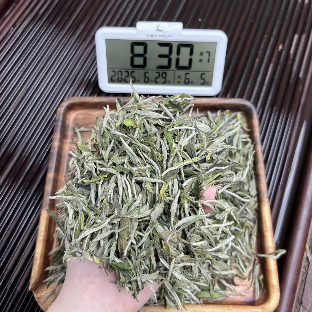 2025牡丹王 ① 小鹿收茶 福鼎白茶 6月29