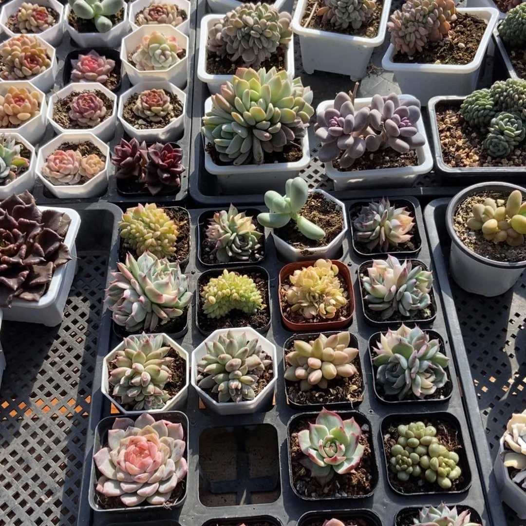 保温箱，低于零度去拍