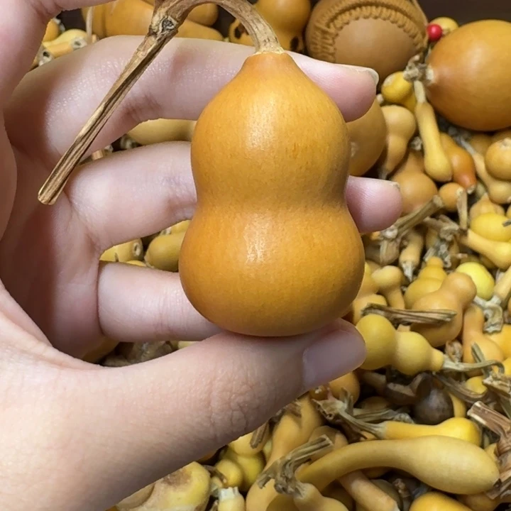 葫芦葫芦葫芦葫芦不包邮