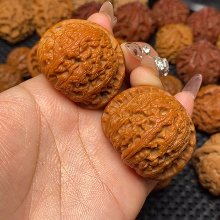 秦岭野生000000145