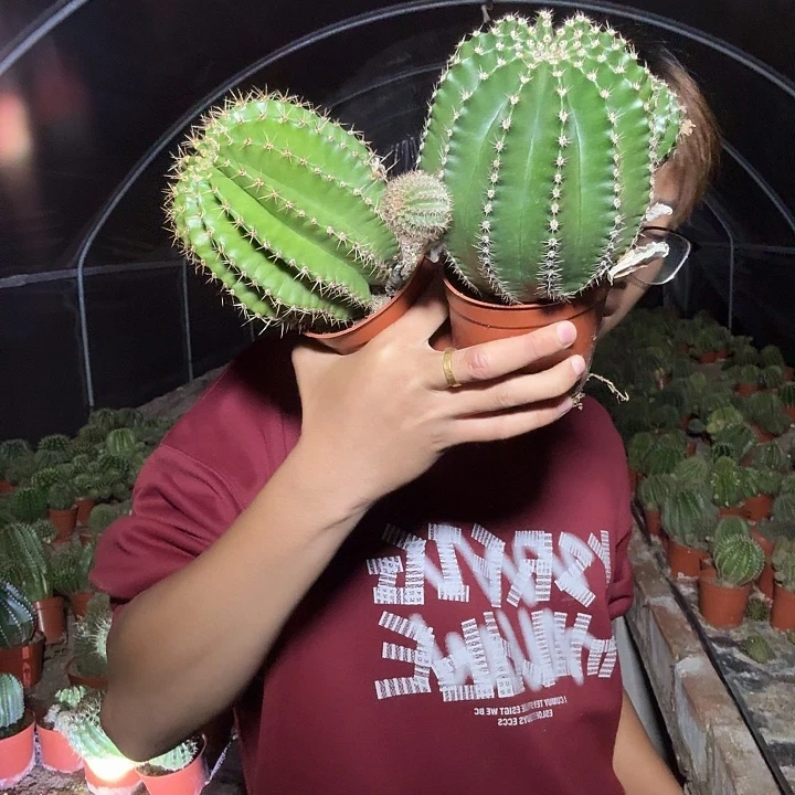 菲***扬无花朵彩草哈哈哈哈哈哈哈哈