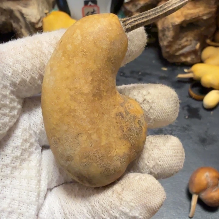 @***@66666666667777777